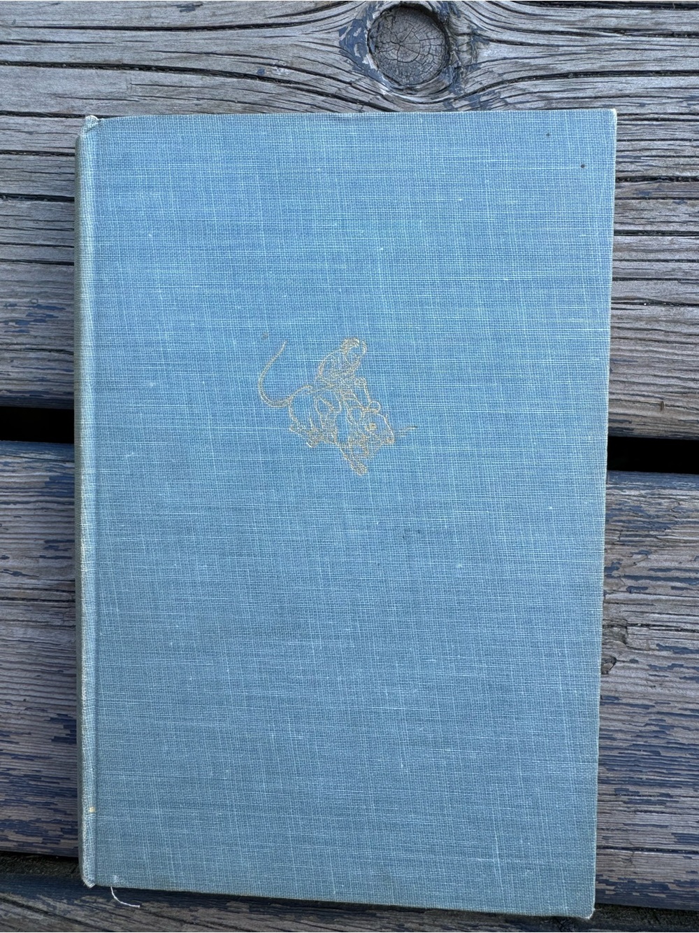 Classic Light Blue Linen Decorative Book Cover - Unbranded